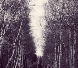 While Shadows Sweep Across the Lawn